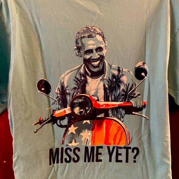 Llama Obama drama - Picture 1 of 2